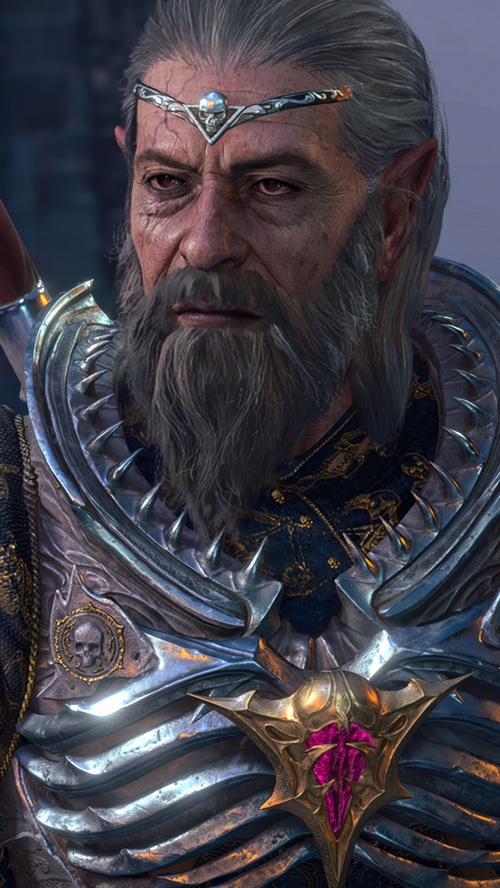 Baldur's Gate 3 Elf with Skull Tiara and Armor