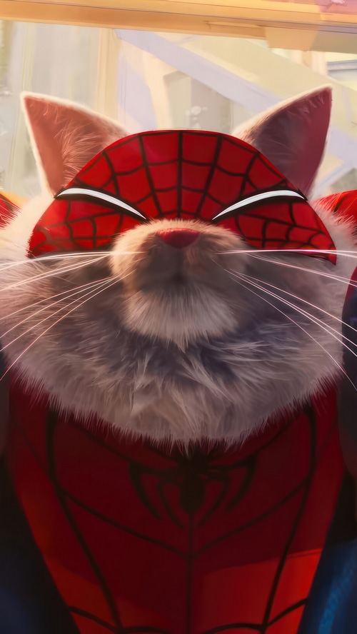 Spider-Cat from Spider-Man: Across the Spider-Verse