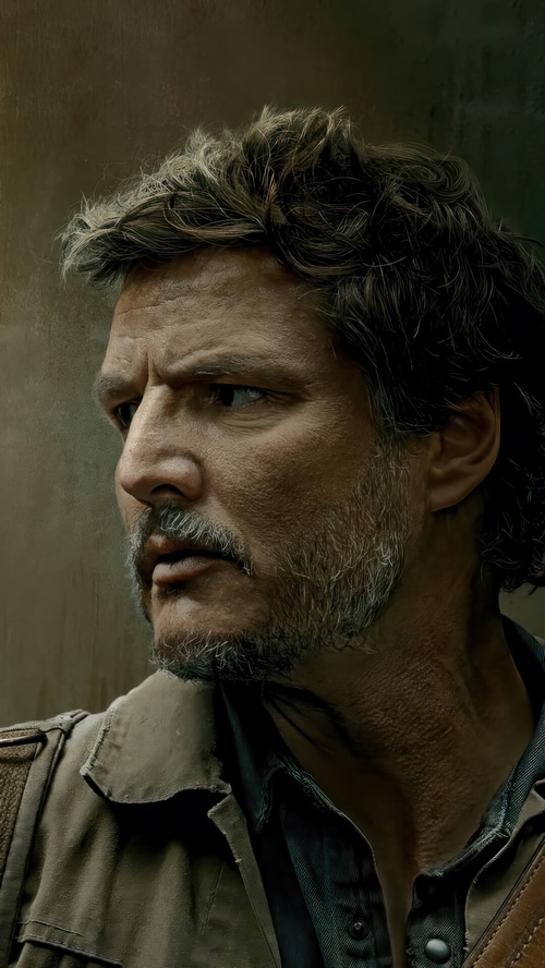 Joel from The Last of Us Series
