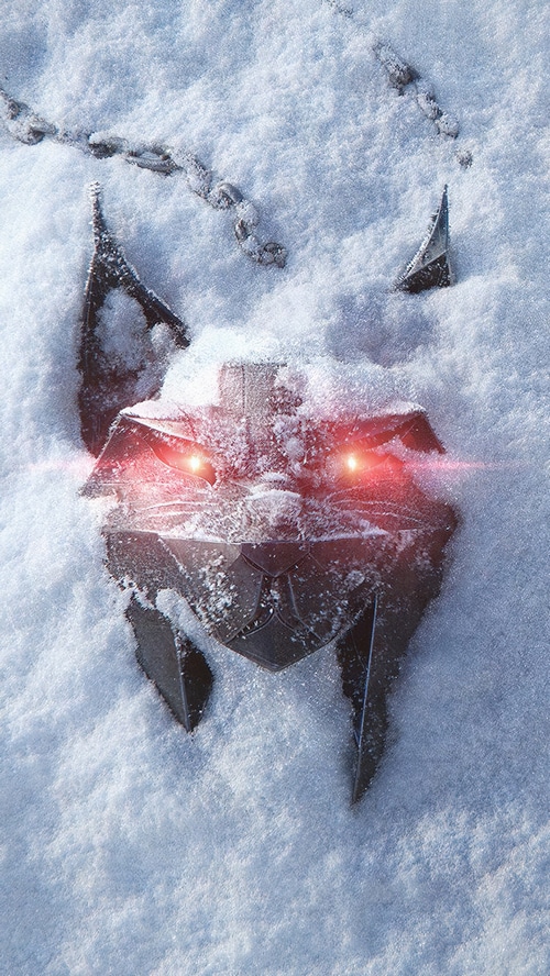 The Witcher: A New Saga Begins