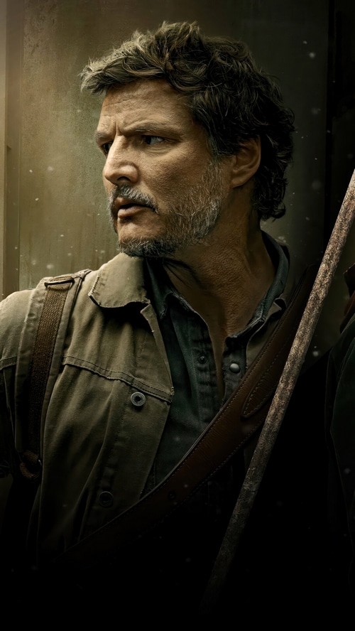 Joel from The Last of Us Series