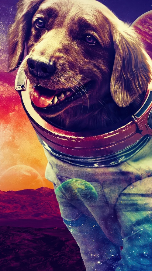 Cosmo the Dog as an Astronaut in Space