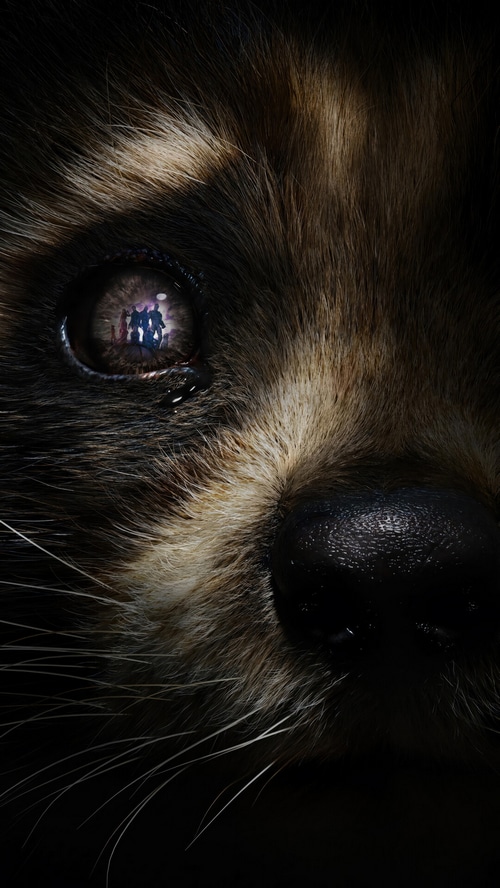 Rocket Raccoon reflection in eye, Guardians of the Galaxy Vol. 3