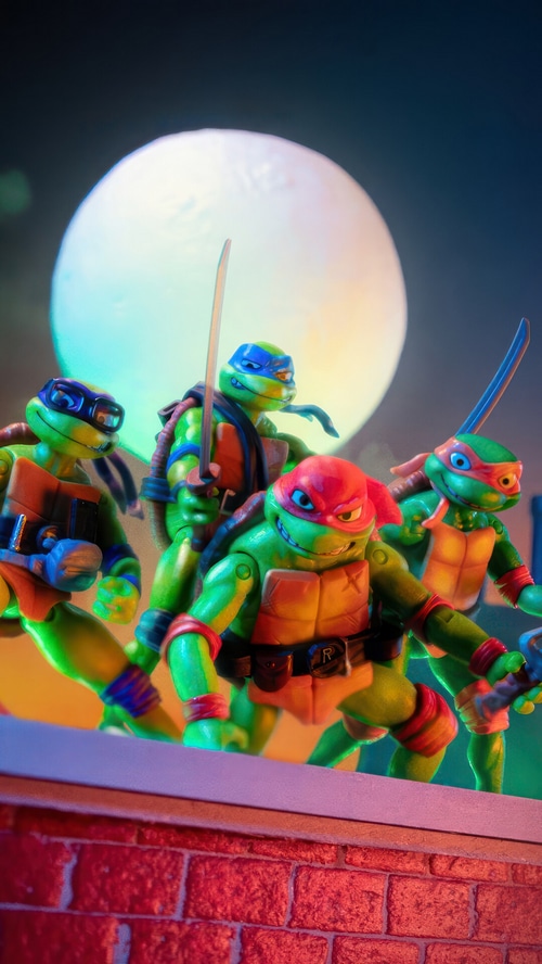 Teenage Mutant Ninja Turtles on a Rooftop