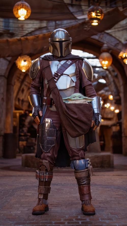 The Mandalorian and Grogu in Star Wars