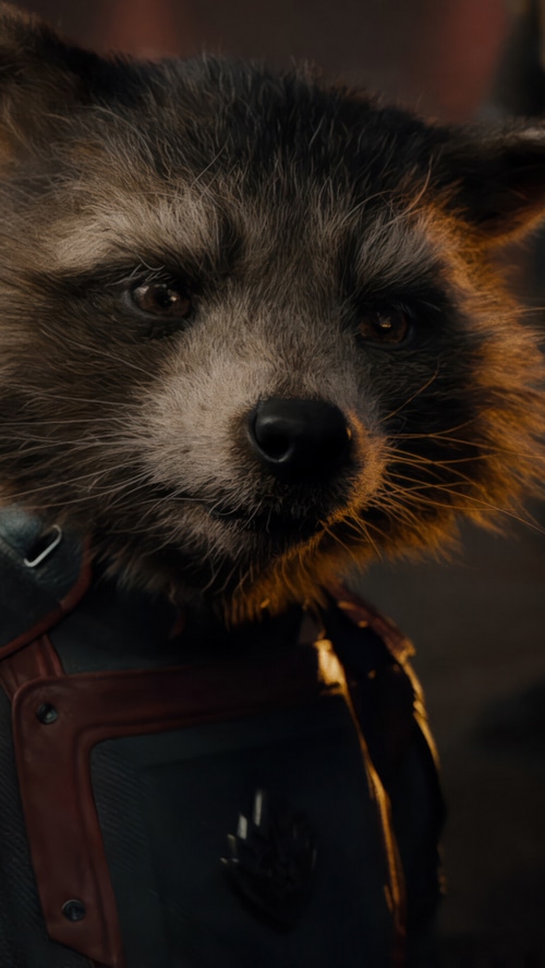 Rocket Raccoon from Guardians of the Galaxy Vol. 3