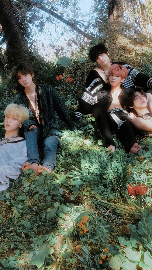 TOMORROW X TOGETHER in a forest setting