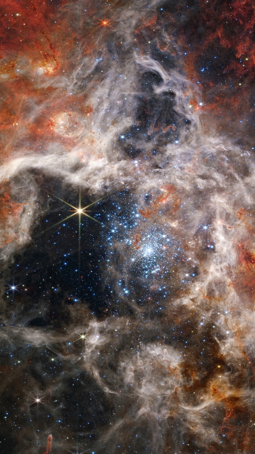 Tarantula Nebula: A Star-Forming Region in Space