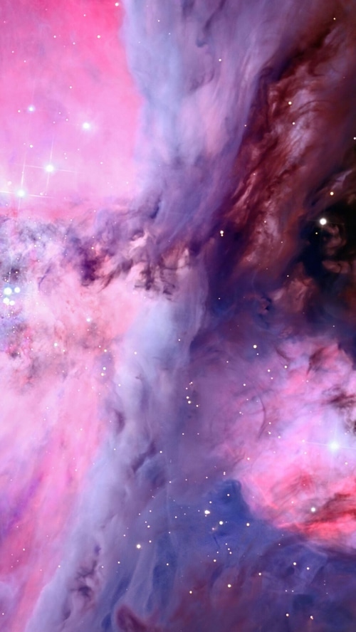 Pink and purple nebula with stars in space