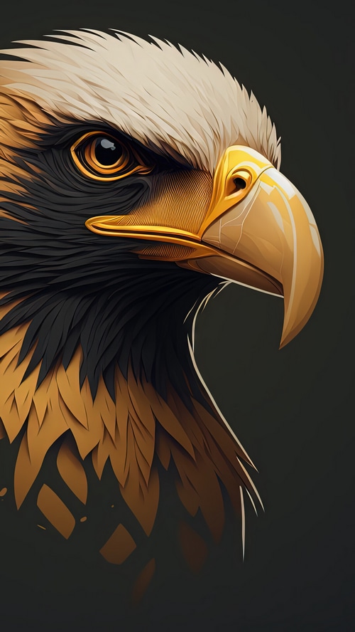 Close-up of an Eagle's head with golden beak