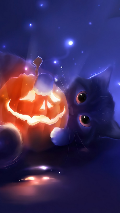 Black Cat and Jack-o'-lantern on Halloween Night
