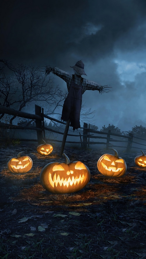 Halloween night with a scarecrow and pumpkins