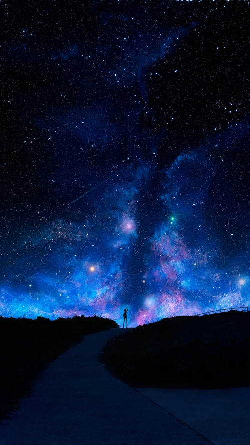A person stands on a hill looking at a starry night sky