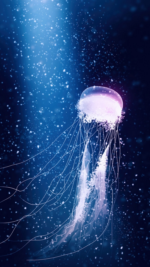 A glowing jellyfish drifts in a starry blue ocean
