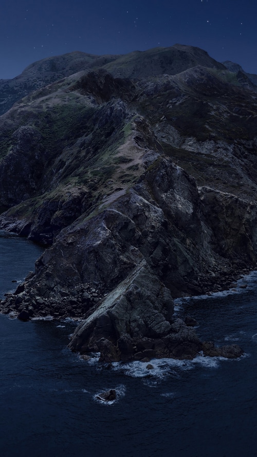 Rocky island coastline at night under starry sky