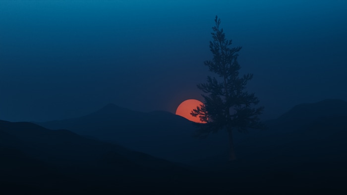 Sunset behind mountains with a tree