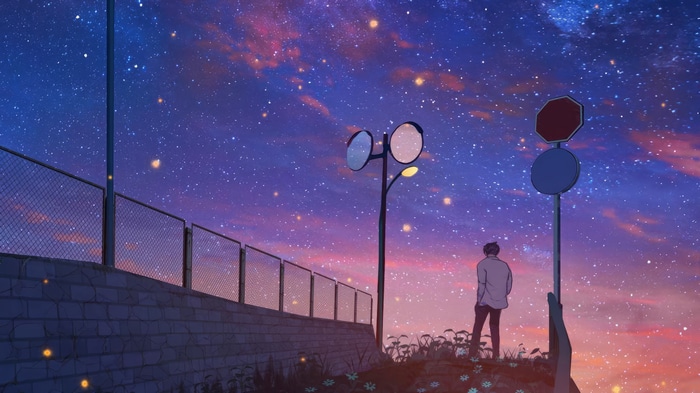 Anime boy looking at a starry sky