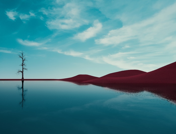 4K desert landscape with dead tree and reflection