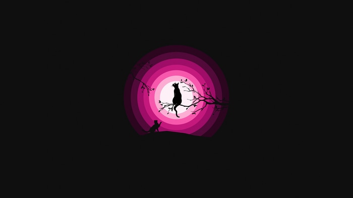 Silhouette of cats under a pink moon