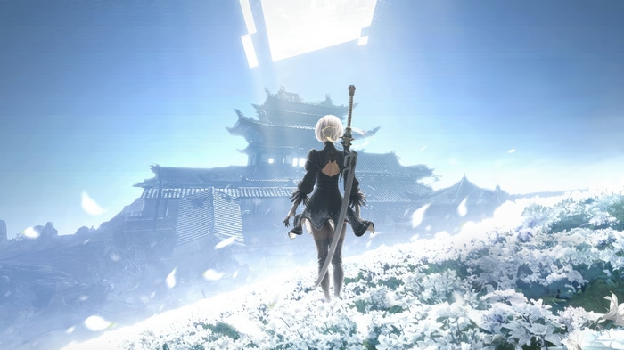 Nier Automata 2B in a field of white flowers