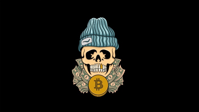 Skull with Bitcoin and Money
