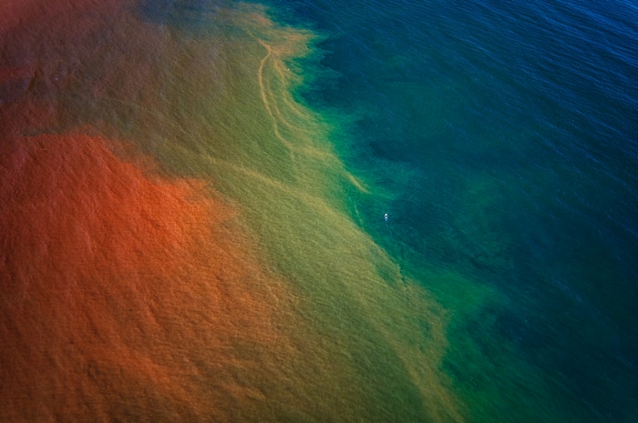 Aerial view of two distinct ocean currents meeting
