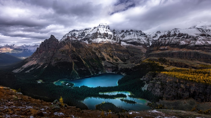 Snow-capped mountains overlooking a turquoise lake and forest