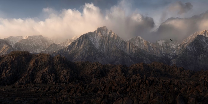 Mountains with clouds and a bird