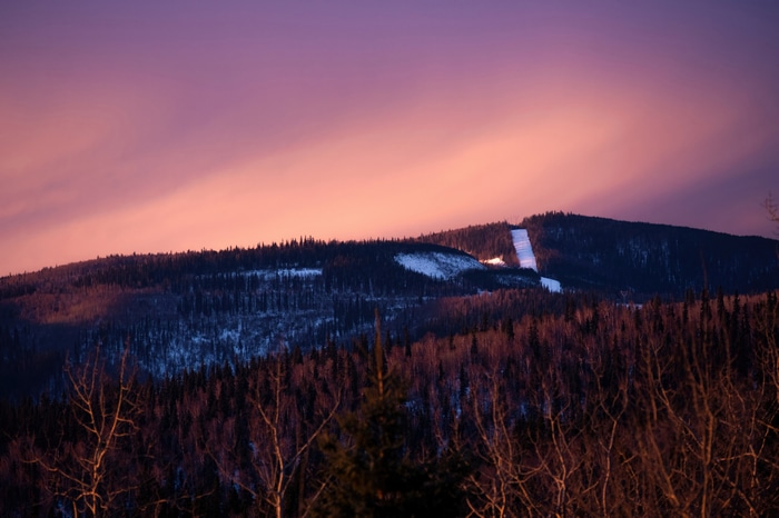 Snowy mountain slope with trees at sunset