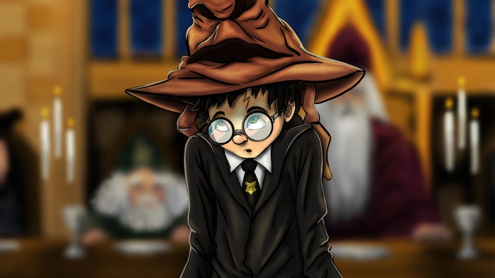 Harry Potter and the Sorting Hat