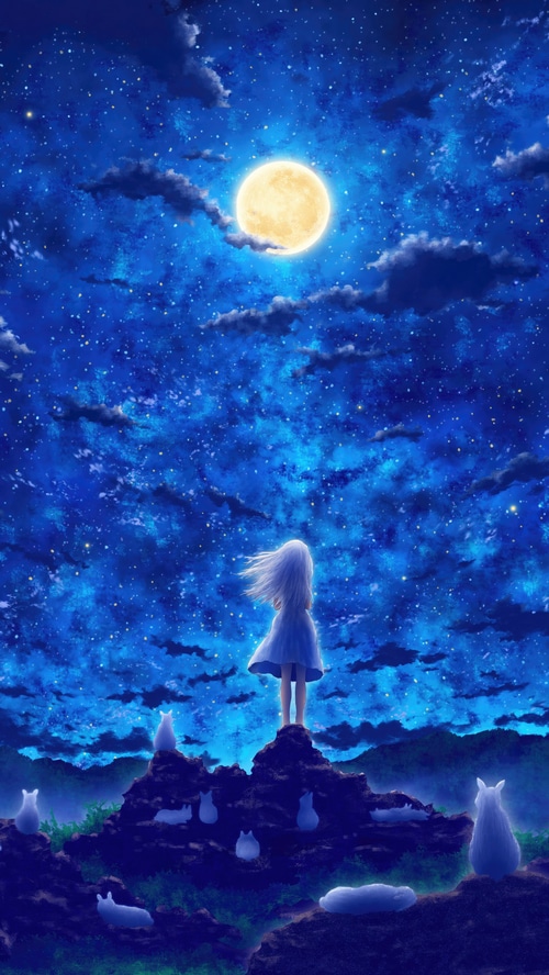 Anime girl and cats under a starry night sky