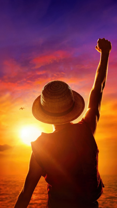 One Piece Monkey D. Luffy Sunset