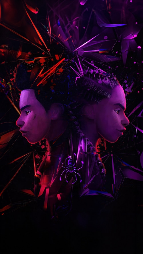 Spider-Man: Across the Spider-Verse artwork with two characters