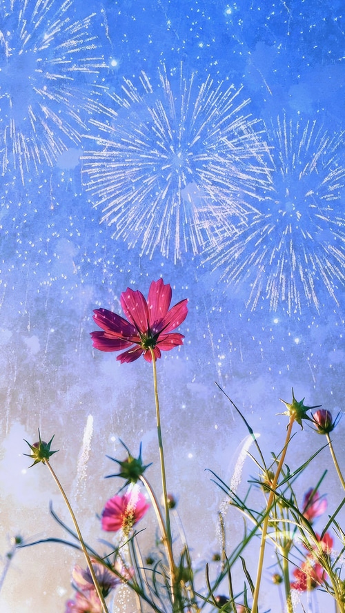 Pink cosmos flowers with fireworks in the sky