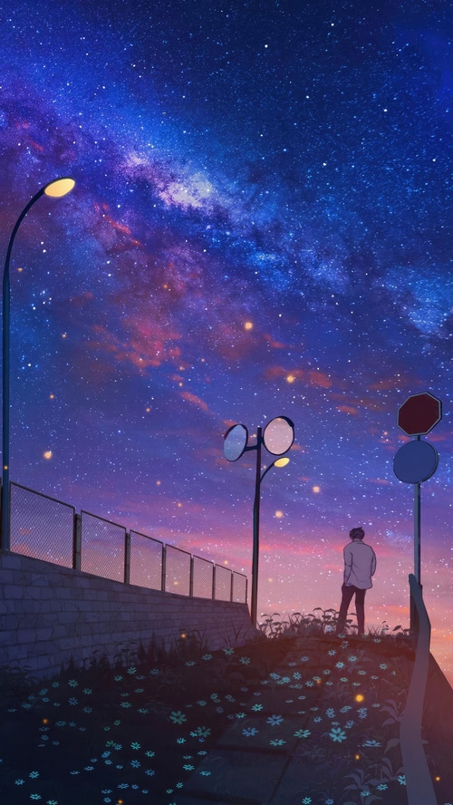 Anime boy looking at the starry sky