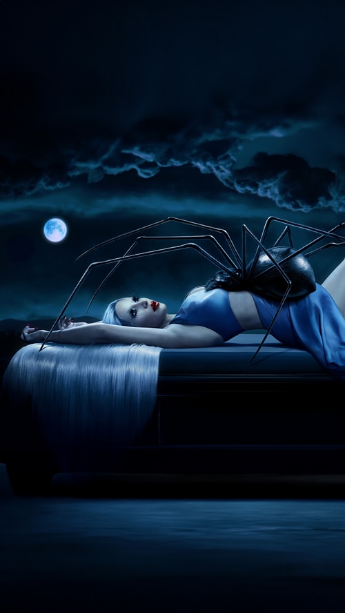American Horror Story Delicate with Spider