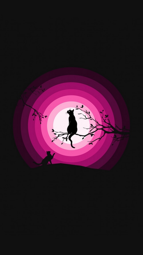 Silhouette cats on a tree branch against a pink moon