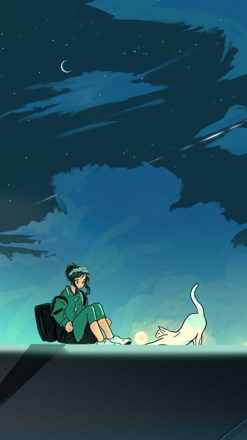 Anime girl and cat under the night sky