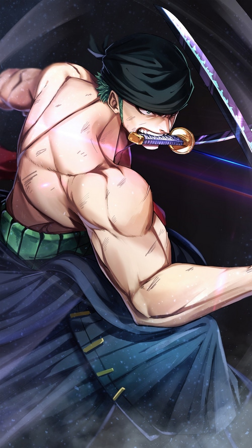 Roronoa Zoro from One Piece