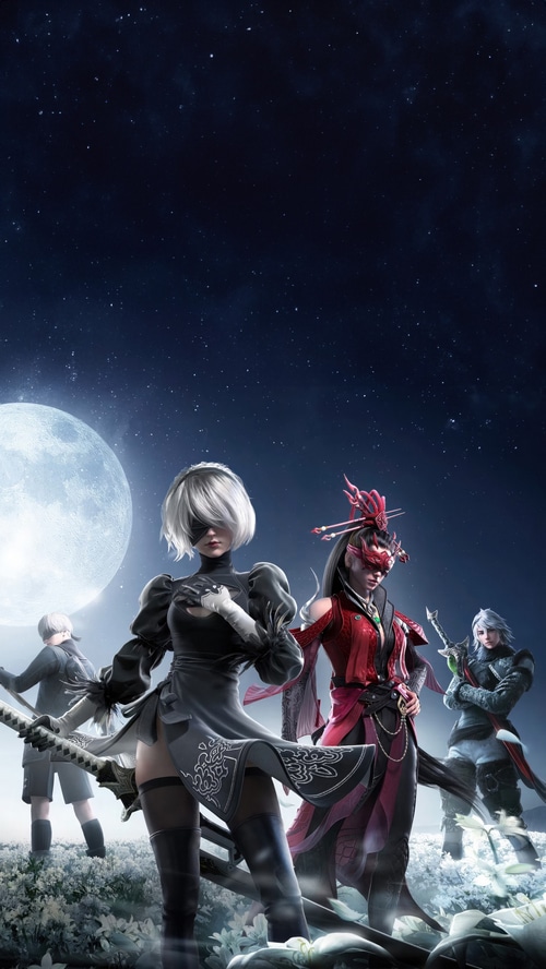 Naraka: Bladepoint and Nier: Automata Characters