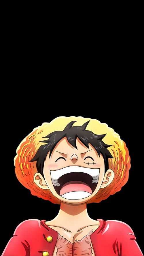 Monkey D. Luffy laughing with straw hat