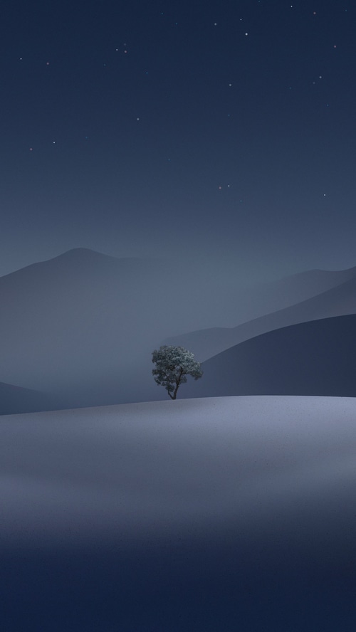 Apple Macbook Pro stock image of a lone tree at night