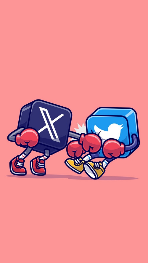 Twitter logo character boxing the X logo character