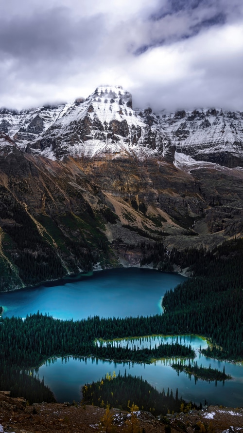 Snow-capped mountains overlooking a turquoise lake and forest