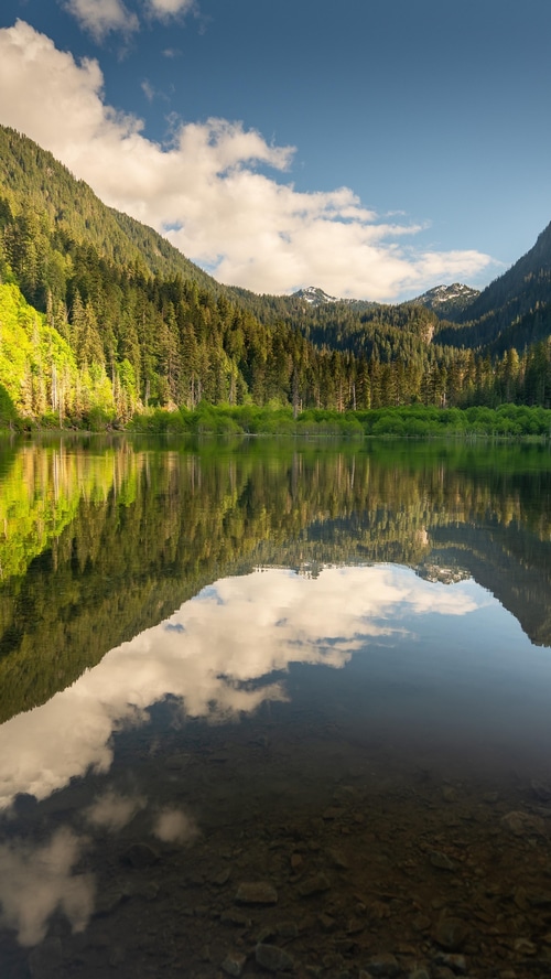 Lake reflection of mountains and forest