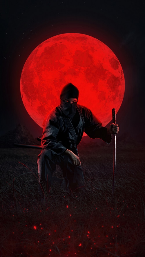 Ninja with Katana under a Red Moon