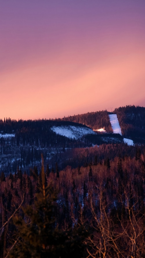 Snowy mountain slope with trees at sunset