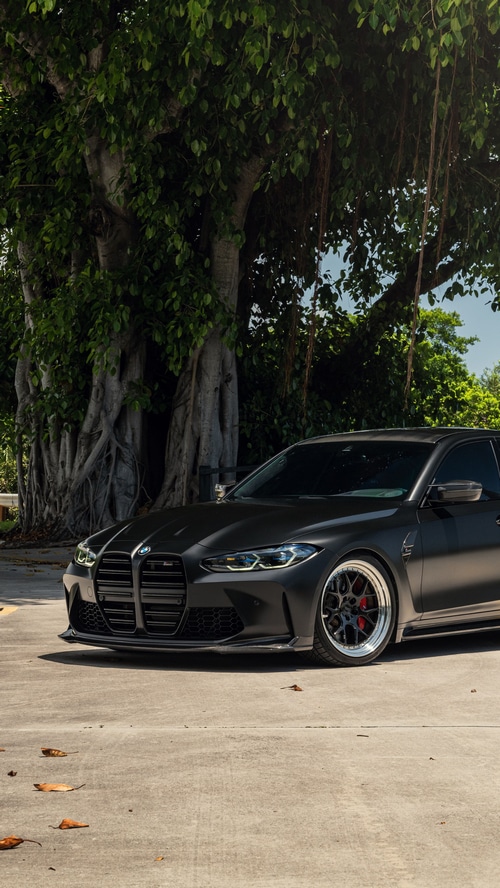 Matte Black BMW M3 parked near a large tree