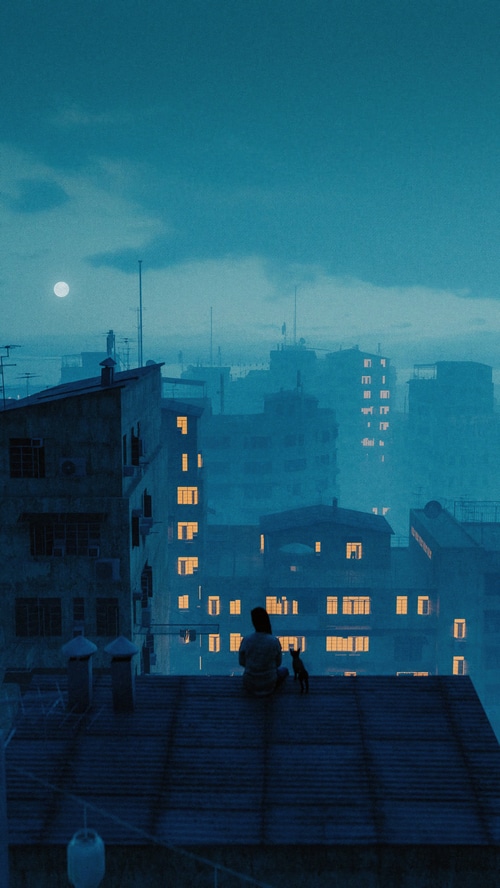 Person and cat on a rooftop at night
