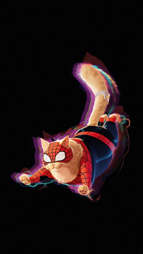 Spider-Cat from Spider-Man: Across the Spider-Verse